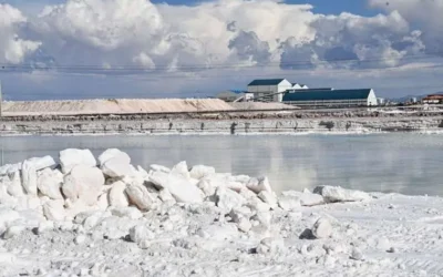 Primera planta industrial producirá carbonato de litio grado batería con una pureza superior a un 99%